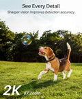 Dog playing in grass demonstrates 2K Wireless Security Camera System For Indoor And Outdoor Home Surveillance clarity, 6X zoom detail.