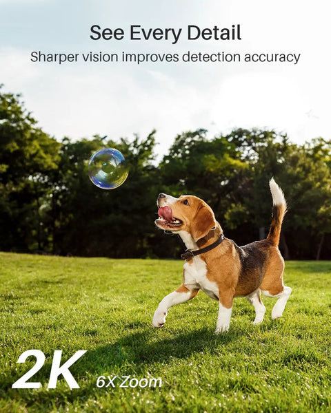 Dog playing in grass demonstrates 2K Wireless Security Camera System For Indoor And Outdoor Home Surveillance clarity, 6X zoom detail.