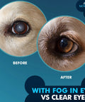NOVEHA Pet Drops Wash ad showing dog eye before and after treatment, 3x10mL