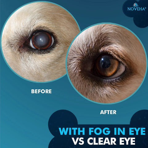 NOVEHA Pet Drops Wash ad showing dog eye before and after treatment, 3x10mL