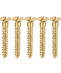 Brass Wood Screws M3 x 20mm Slotted Flat Head Self-Tapping Fasteners, 50 Pieces For DIY Projects And Woodworking, front view