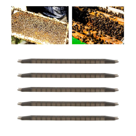 5 Piece Bee Cell Cups Kit For Queen Rearing, Queen Cell Cup Bar With Frame And 15 Holes, plastic rearing cage box displayed