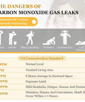 Chart depicting symptoms and CO concentration standards related to carbon monoxide leaks with silhouette illustrations.