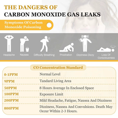Chart depicting symptoms and CO concentration standards related to carbon monoxide leaks with silhouette illustrations.