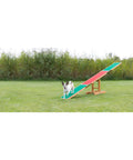 Agility Dog Seesaw With Color Contact Zones For Safe Training Build Balance And Confidence During Dog Fitness And Agility Practice Pro Grade Build