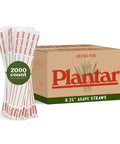 Bulk 8 Inch Agave Straws Wrapped 2,000 Count Eco Friendly Compostable Drinking Straws Made From Upcycled Agave Durable Long Lasting Sippers That Won’t Get Soggy. wrapped agave straws with 2000-count box