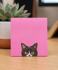 Black Cat Sticky Notes 3 By 3 Inch Set Stick Like Crazy For Back To School And Office Use Self Stick Memo Pads with pink cat design.