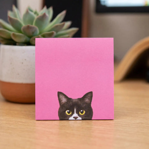 Black Cat Sticky Notes 3 By 3 Inch Set Stick Like Crazy For Back To School And Office Use Self Stick Memo Pads with pink cat design.