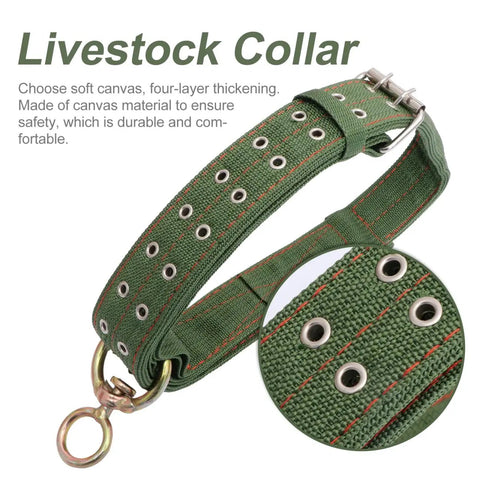 Adjustable Green Canvas Livestock Collar 3 Pack With Secure Locking Buckles For Cattle Calves Horses Sheep Padded Barn Ready Farm Harness showing thick canvas with grommets.