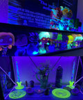 40ft Flexible UV Black Light Strip With LED Kit illuminating figurines and decorations on a shelf, showcasing vibrant glow effect.
