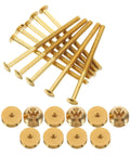 Pure Copper Teapot Knob Replacement Screws And Nuts Kit 10 Set Machine Screws Assortment For Furniture Repair Corrosion Resistant Hardware For Stable Household Fixes Ideal For Home And Tea House Decor, 10-piece brass set