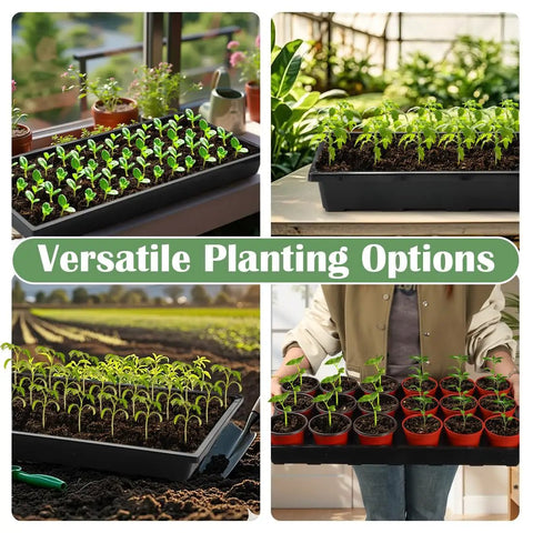 1020 Flat Seed Starter Trays 10 Pack BPA Free Plastic Nursery Pots Trays for Seedlings No Drainage Holes Microgreens