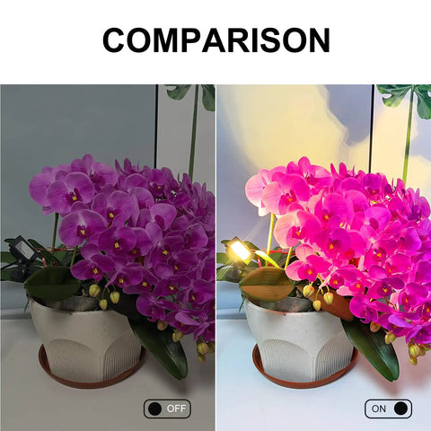 Comparison of LED Spot Light Indoor 2 Pack With 120V Accent Uplight effect on purple flowers, showing lighting modes on and off.