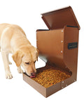 Heavy Duty Outdoor Dog Automatic Feeder 15 Pound Large Capacity All Weather Shell, dog eating from sturdy feeder.