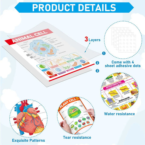 Product details of 16 Pack Life Science Biology Posters For Classroom Decor Anatomy And Cell Structure Charts DNA Photosynthesis Cell Cycle Plant And Animal Cells High School Education Teachers Bulletin Board Wall Decor