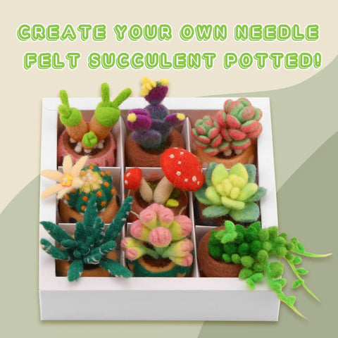 9 Piece Succulent Needle Felting Kit For Beginners With Wool Roving, Felting Pad, Needles, And Step By Step Instructions For DIY Craft And Home Decor Today showing colorful felt succulents in a white box