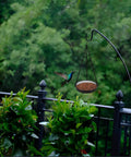 Large Capacity Hanging Bird Feeder For Garden And Yard Outdoors With Metal Mesh Platform And Fine Mesh Tray Holds Up To 3 Lb Of Seeds Easy Refill No Mess Attracts More Birds And Keeps Feeding Fresh hanging above plants with a hummingbird approaching