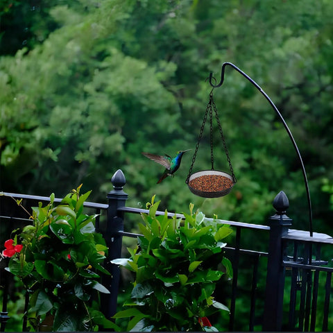 Large Capacity Hanging Bird Feeder For Garden And Yard Outdoors With Metal Mesh Platform And Fine Mesh Tray Holds Up To 3 Lb Of Seeds Easy Refill No Mess Attracts More Birds And Keeps Feeding Fresh hanging above plants with a hummingbird approaching