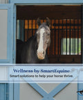 A horse standing in a stable, visible through a blue door, with text 'Wellness by SmartEquine' and logo.