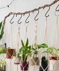 Heavy Duty 6 Inch S Hooks Set Of 12 Vinyl Coated No Slip Metal Hangers for plants hanging on a branch indoors
