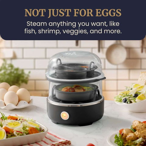 Egg Cooker That Boils Up To 14 Eggs At Once With Two Tier Design, steaming fish and veggies, auto shut off, black