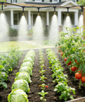 5/16 Inch Drip Irrigation Kit 100ft High Flow Garden Watering System with 16 Bendable 360 Degree Brass Misting Nozzles in garden