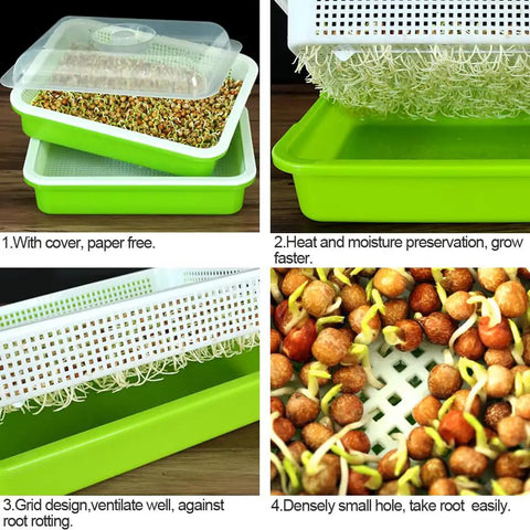 Soil-Free Seed Sprouter Tray With Lid BPA Free PP Material Big Capacity Sprouting Kit for Wheatgrass and Seeds No Soil Needed