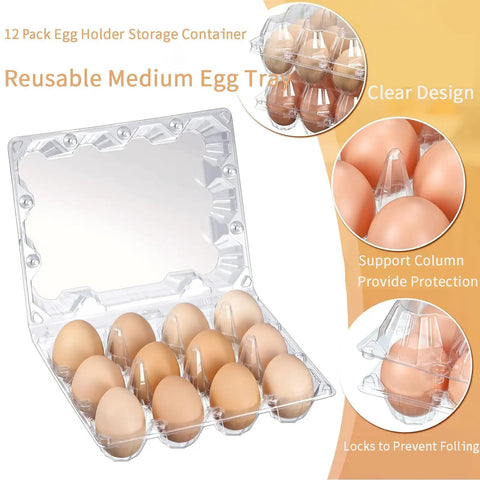 12 count clear plastic egg cartons bulk pack with sturdy snap lids, reusable egg storage holding 12 eggs securely, open view