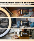 Wall Mounted Fan With Lights 23 Inch Remote And App Control 6 Speeds Dimmable 3 CCT Reversible Noiseless light settings