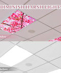 Four Pack 4 x 2 Feet Magnetic Fluorescent Light Covers With Cherry Blossom Decor, Before and After Ceiling Install