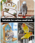 Legit Leak Proof Automatic Bird Water Dispenser With Drip Free Sippin Station For Small Parrots Parakeets Cockatiels And Budgies in use with various small birds.