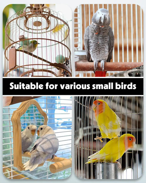 Legit Leak Proof Automatic Bird Water Dispenser With Drip Free Sippin Station For Small Parrots Parakeets Cockatiels And Budgies in use with various small birds.