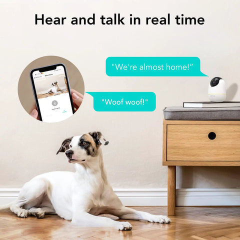 Indoor Smart AI Detection Security Camera For Pets Babies And Home Nanny Cam Vibe 1080P FHD Night Vision on table near dog