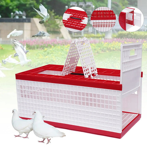 Breathable Pigeon Carrier Cage For Travel And Training with red and white plastic design, two side doors, top compartments, clear visibility