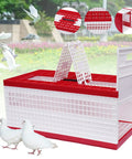 Racing Pigeon Carrier Box For Bird Training with two side doors and two top doors, red and white plastic, in outdoor setting.