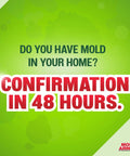 Green background with text 'Do You Have Mold In Your Home? Confirmation in 48 Hours'. Mold Armor logo in corner.