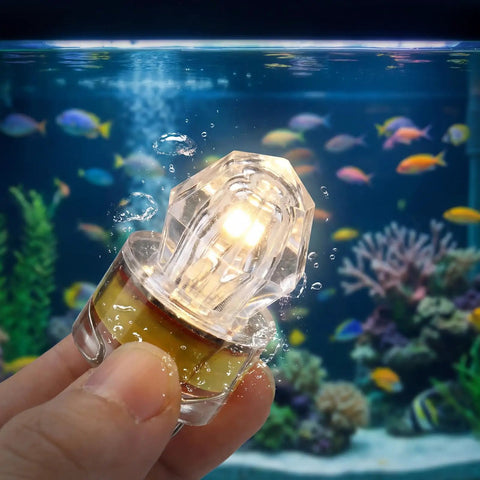 12 Piece LED Underwater Fishing Lights Set Deep Drop Lights Waterproof Diamond Tubular Lures shown in aquarium setting