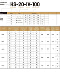 Product model description table for HS-20-IV-100 gearbox, showing specifications and gear ratios for series HS-14 to HS-32.