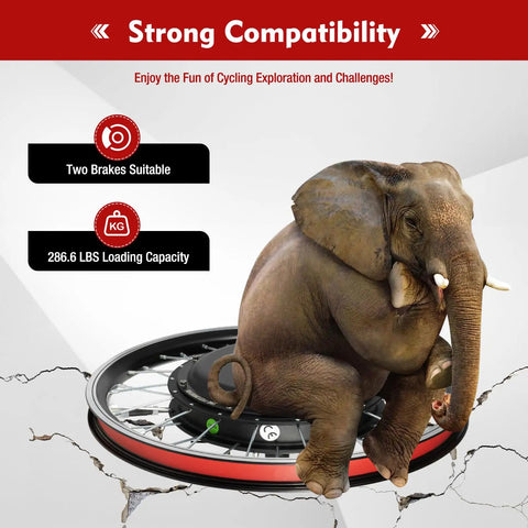 Elephant sitting on 1000W 48V Front Wheel Hub Electric Bike Conversion Kit highlighting strength with LED Display Waterproof 20 Inch E Bike Hub Motor PAS System Controller And Thumb Throttle For Powerful Street Ready Build.