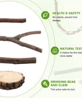 Top Notch Nine Piece Apple Wood Bird Perch Bundle With Heavy Duty Rope Ladder And Raw Bark Platform For Parrot Cage Must Haves featuring natural wood perches and bark platform.