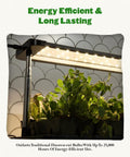Seed Starting Grow Light Kit With Full Spectrum LEDs Adjustable Height Integrated Tray And Timer For Indoor Seedlings