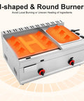 Pro Grade 6L Commercial Gas Deep Fryer With Dual Temperature Control showing H-shaped burner and stainless steel construction
