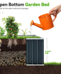 Cross-section of 12-inch galvanized steel raised garden bed with vegetables, showing soil layers, part of 2-pack garden kit