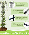 Outdoor Garden Trellis For Climbing Plants With Umbrella Top Round Obelisk 64 Inch Tall Rustproof PE Coated Metal Pipe Ideal Support