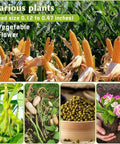 Handheld Seed Spreader Seeder For Garden, Easy Push Roller Seeder With Adjustable Plant Spacing, for corn and peanuts