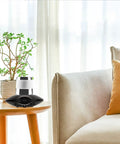 Electric Coffee Mug Warmer With Heating Cooling Cup Mat USB Drink Heater on table next to a plant in a cozy living room.