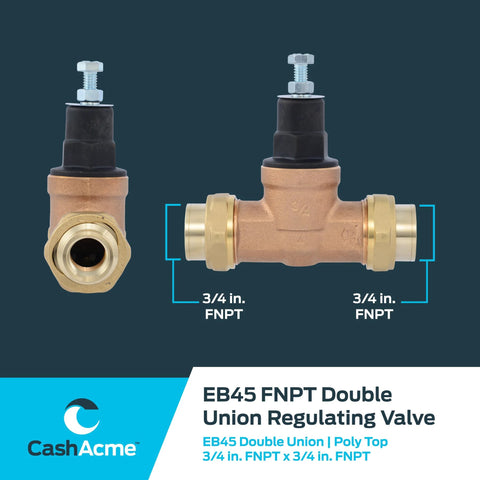 CashAcme EB45 pressure regulating valve, brass body with poly top, 3/4 in FNPT female, side view