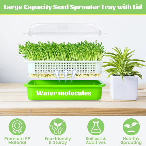 Soil Free Seed Sprouter Trays With Lids 5 Pack For Microgreens And Wheatgrass No Soil Growing Kit With Germinating Paper BPA Free DIY Indoor Kitchen Garden Sprouting
