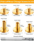 60 Pairs Solid Brass Chicago Screws For Belts And Jeans Including Heavy Duty Hole Punch Kit For Leather Straps And Clothing Repair Built Like A Tank With Corrosion Resistant Gold Finish That Hits Different On Every Project, showing screws in three sizes.