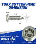 Tamper Resistant Torx Security Screws For Sheet Metal, Button Head Stainless Steel Anti Theft Heavy Duty Fastening, Size Fourteen By Three Quarters Inch, 10 Pack For Essential Security dimensions with measurements